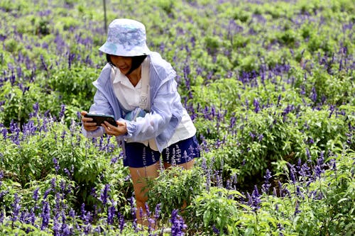 Δωρεάν στοκ φωτογραφιών με smartphone, αγροτικός, ασιάτισσα