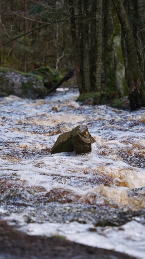 Бесплатное стоковое фото с валун, вода, водопад