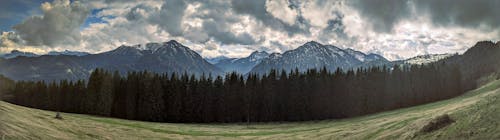 ağaçlar, Almanya, Alpler içeren Ücretsiz stok fotoğraf