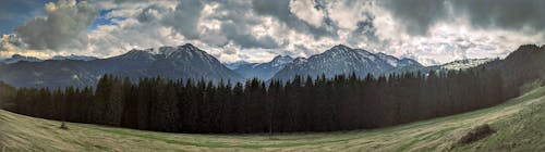 Kostenloses Stock Foto zu alpen, bad wiessee, bäume