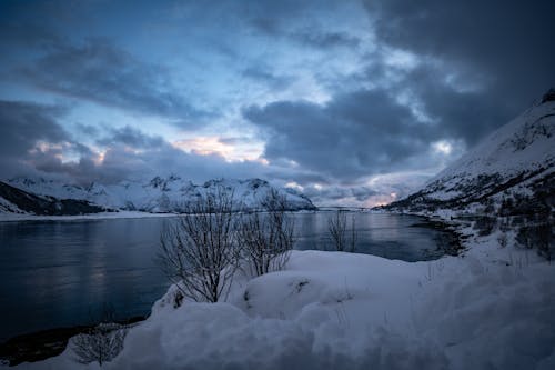 Základová fotografie zdarma na téma břeh jezera, fjord, jezero