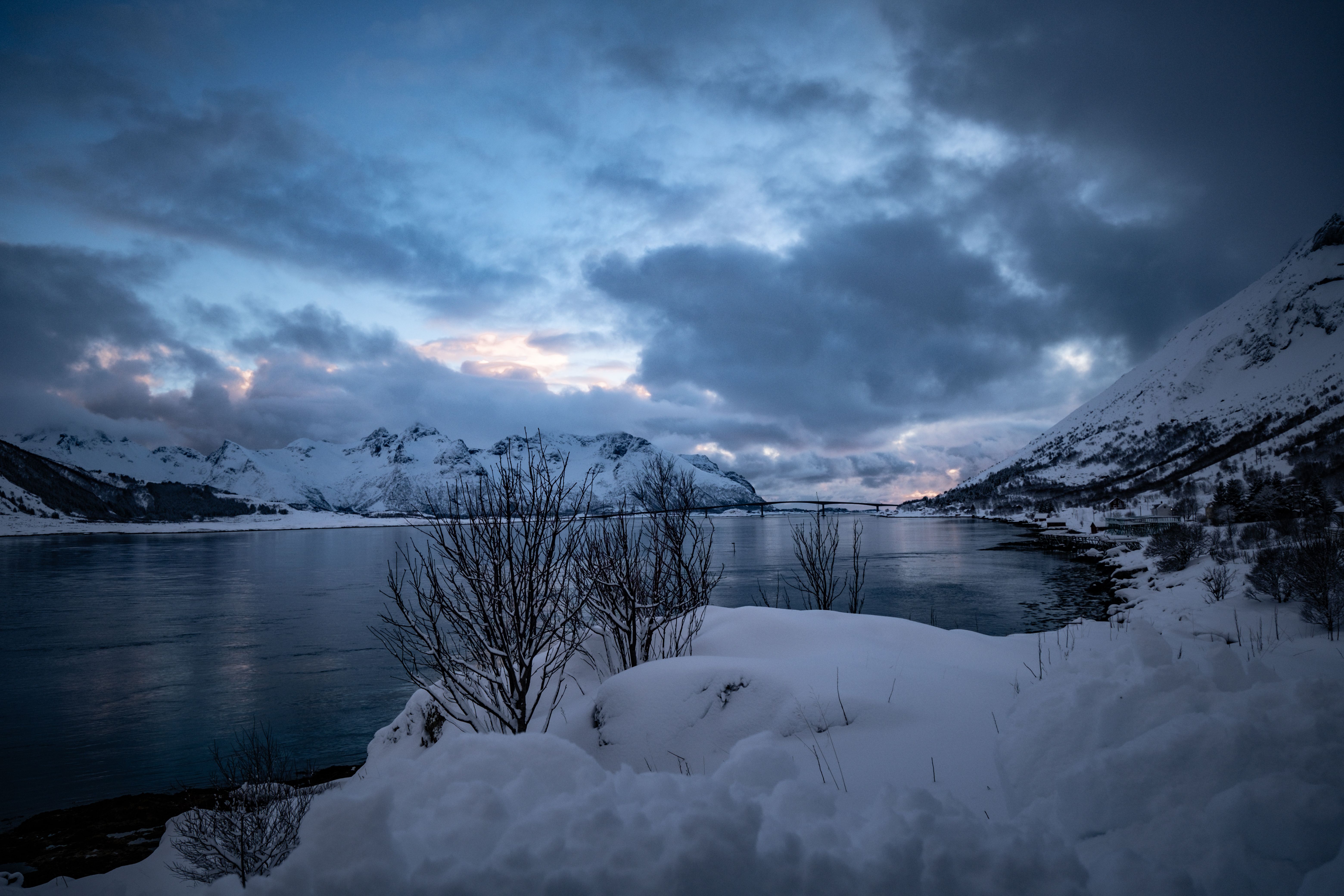 Snowy Shore of Lake in Winter · Free Stock Photo