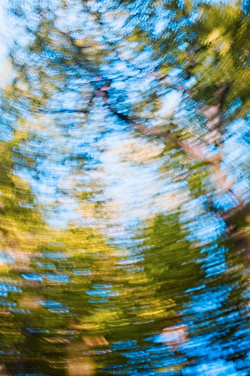 Darmowe zdjęcie z galerii z abstrakcja wierzchołków drzew, abstrakcyjna zieleń, abstrakcyjne drzewa