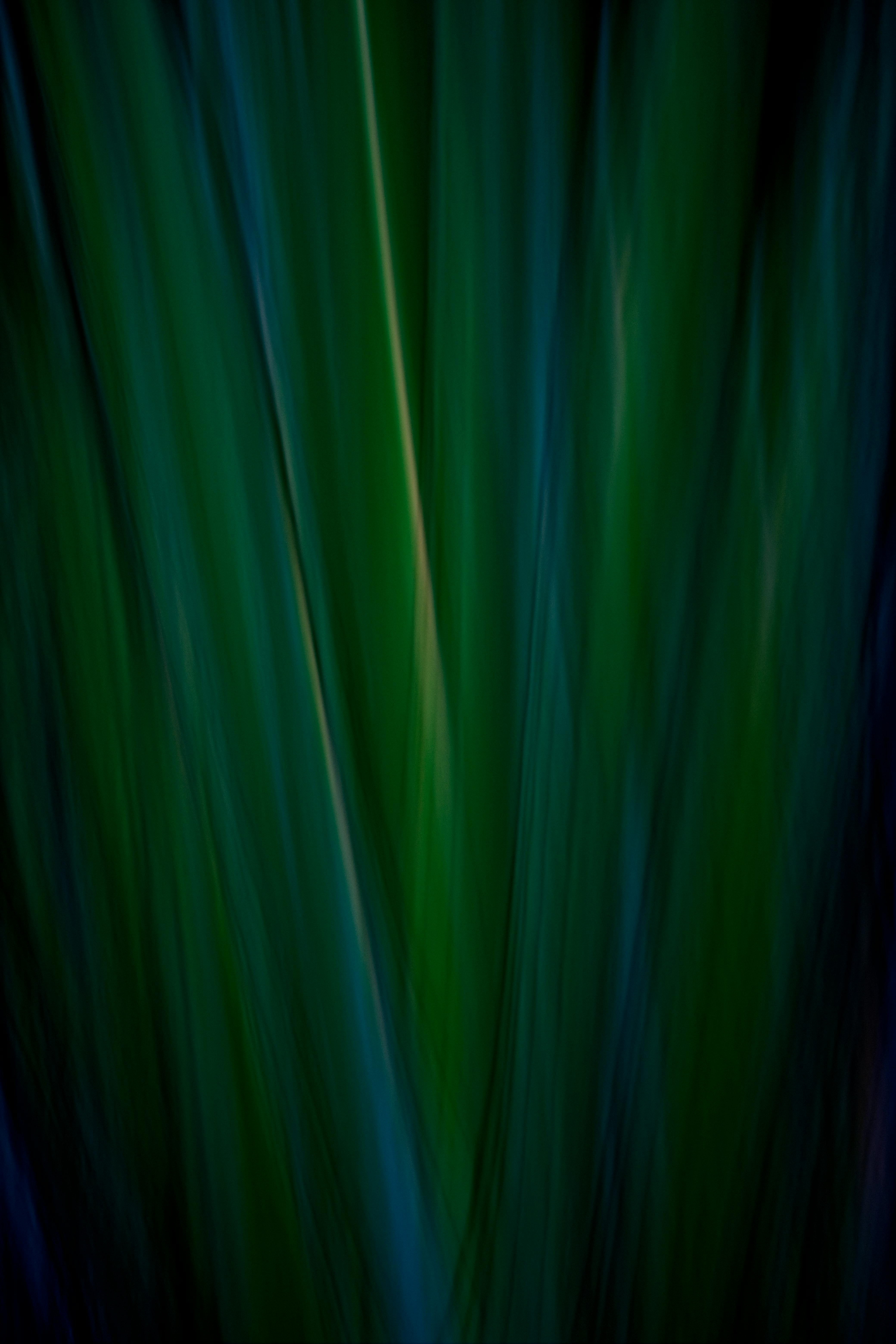 Dynamic abstract image featuring moody green botanical elements in motion.
