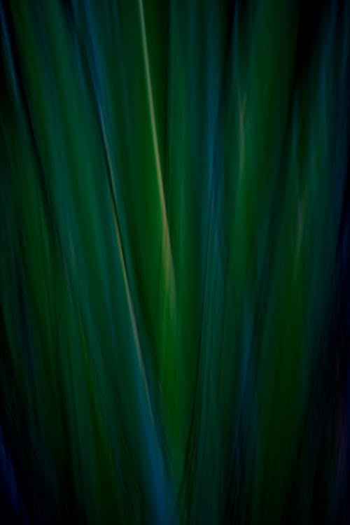 Darmowe zdjęcie z galerii z abstrakcyjna zieleń, abstrakcyjne liście, abstrakcyjny