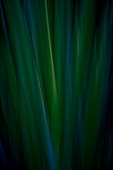 Dynamic abstract image featuring moody green botanical elements in motion.