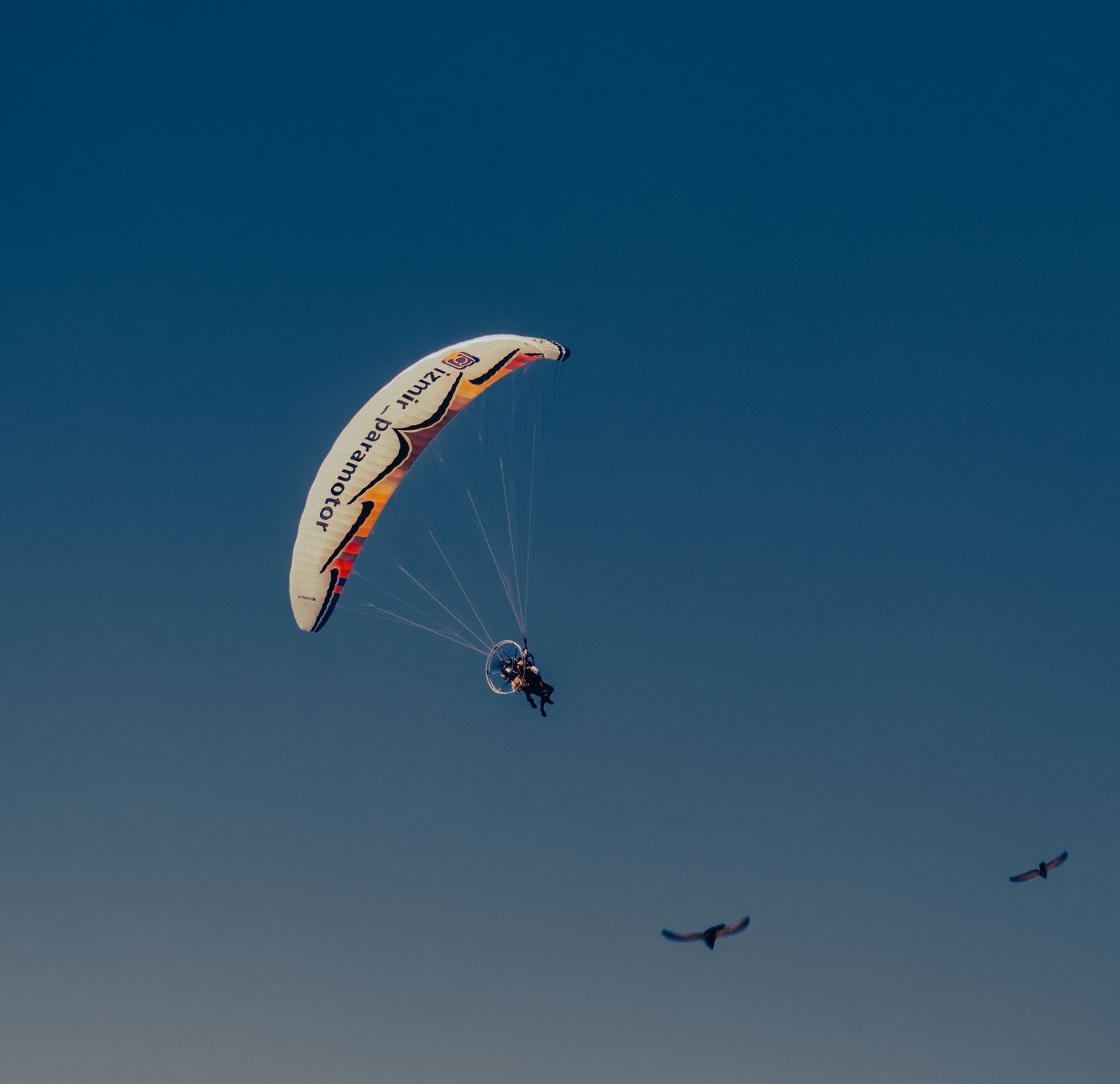 Parachuting In People Parachuting in Clear Sky · Free Stock Photo
