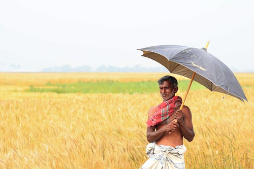 Man standing beside the cropland 