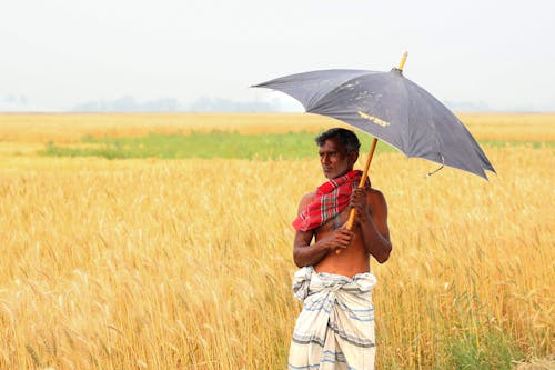 Farmer with black umbrella in the agricultural land