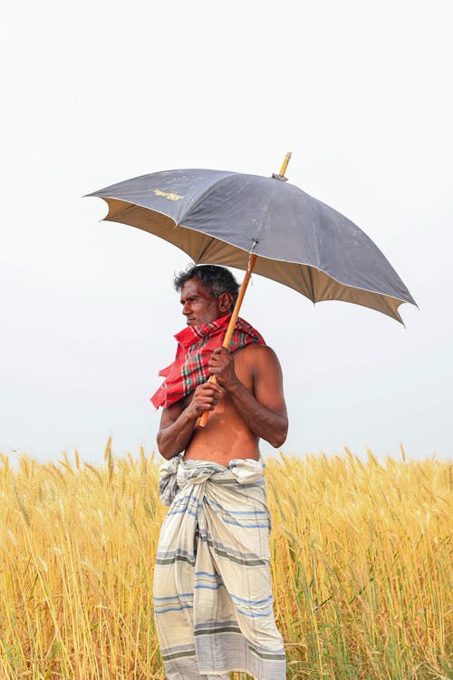 Free A man holding an umbrella in a field Stock Photo