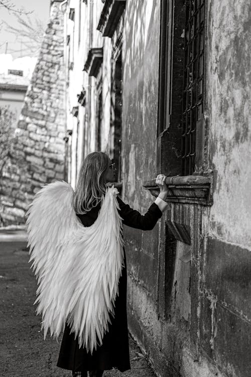 Foto profissional grátis de anjo, asas, cabelo comprido