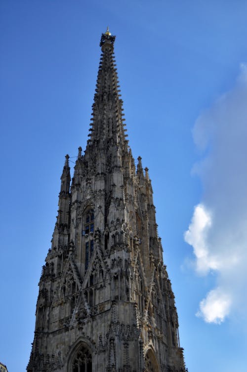 คลังภาพถ่ายฟรี ของ kirche, stephanplatz, wien