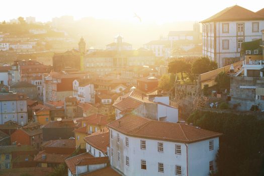 Captivating view of Porto's historic rooftops at sunset, showcasing classic architecture and warm sunlight.