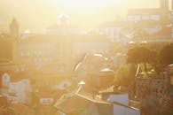 日落时分，波尔图景色宁静，海鸥在温暖的金光中翱翔