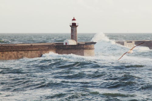 Crashing Waves Near a Lighthouse