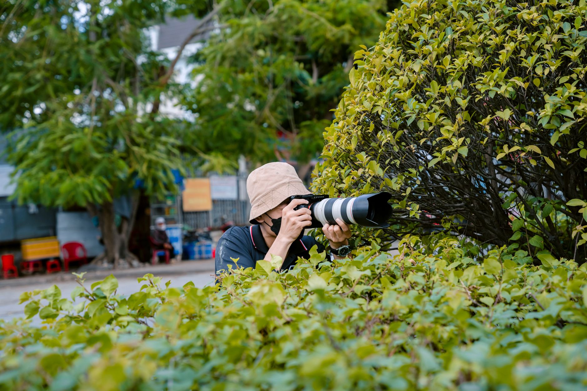 A photographer in a hat captures photos from behind bushes on city streets. A photographer in a hat captures photos from behind bushes on city streets.