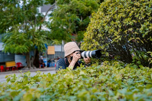 Free A woman taking a picture of a bush with a camera Stock Photo