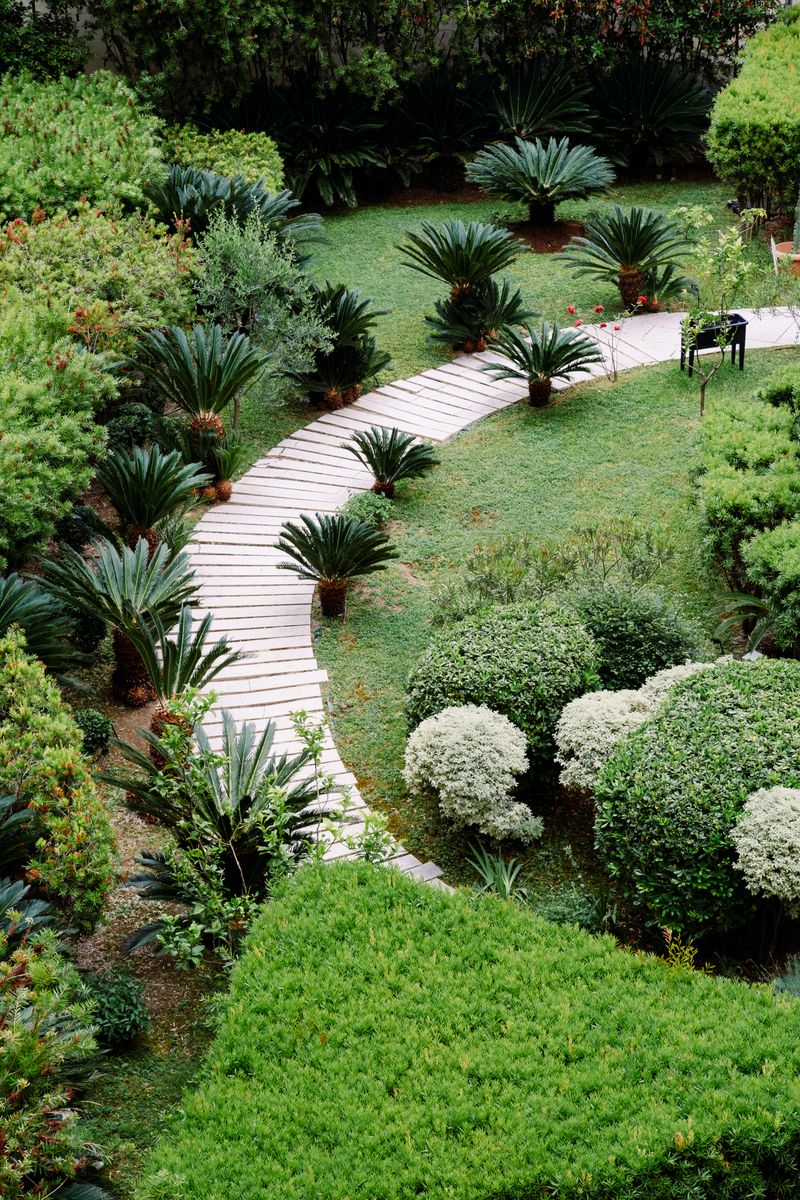 Boardwalk between plants in a lush garden