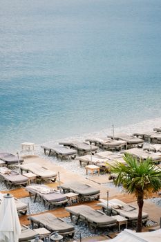 Aerial view of sun loungers on a serene beach with palm trees and clear blue sea.