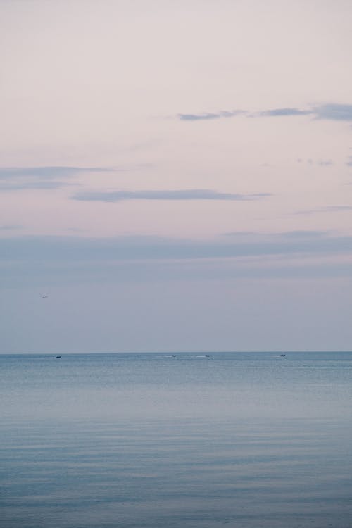 Základová fotografie zdarma na téma horizont, klid, moře