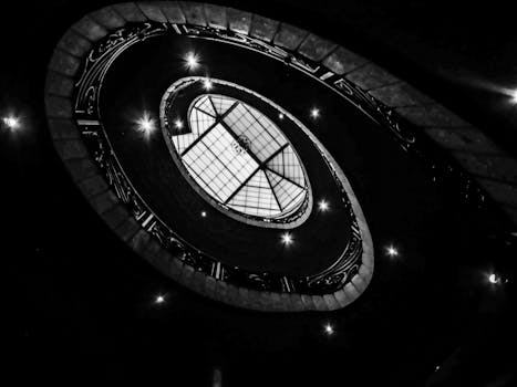 建筑天窗采用黑白圆形设计，呈现出戏剧性的鱼眼视图