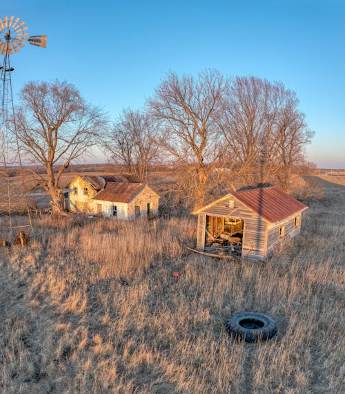 Imagine de stoc gratuită din abandonat, arbori, cămin