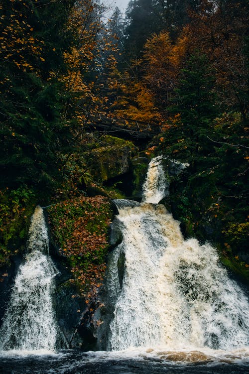 Air Terjun Triberg 2