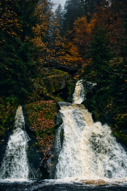 Triberg Waterfalls 2