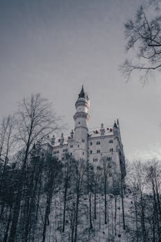 德国巴伐利亚州的新天鹅堡在冬季呈现出迷人的景观，四周树木被霜冻覆盖