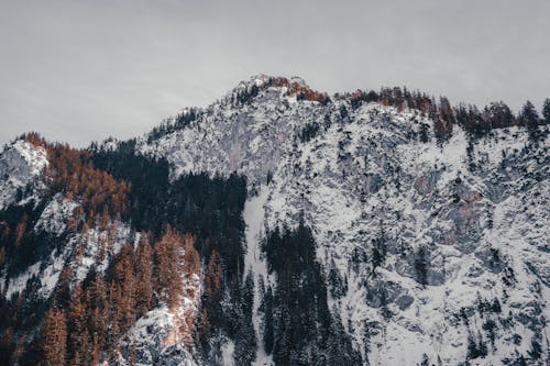 Landscape Photography of Mountain Cover by Snow