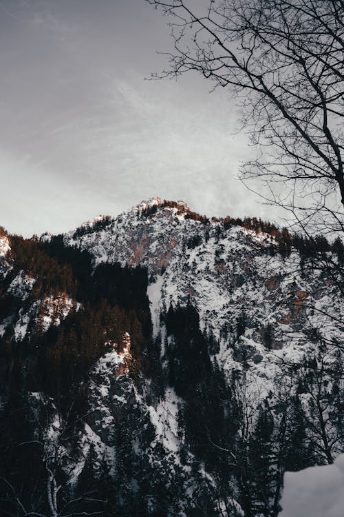 Vue Sur La Montagne