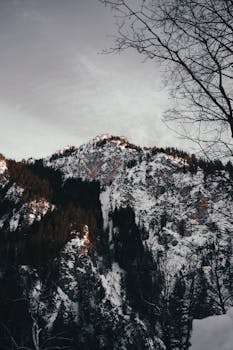 德国慕尼黑附近，黎明时分的冬日山景白雪皑皑
