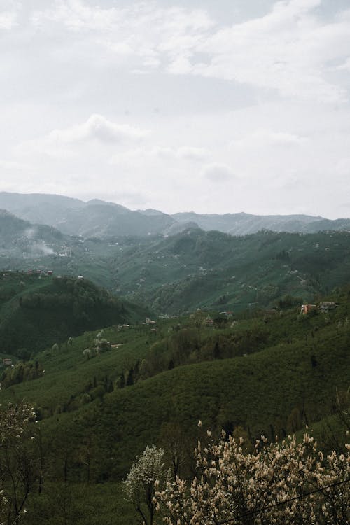 The view from the top of a mountain with green hills and trees