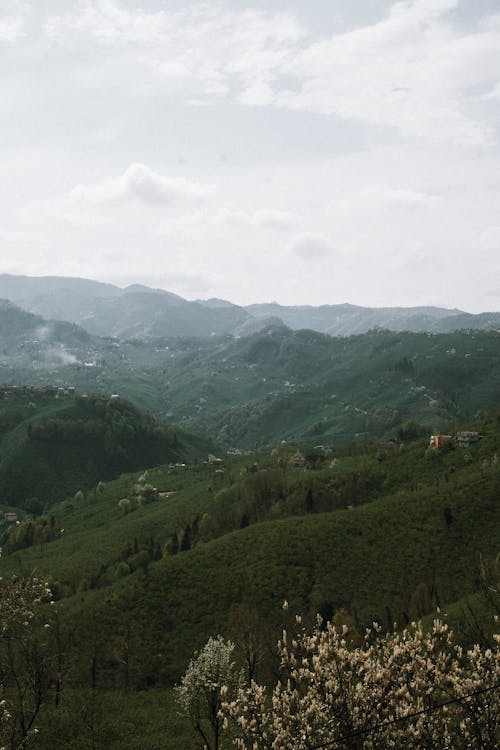 Imagine de stoc gratuită din ceață, cer, fotografiere verticală