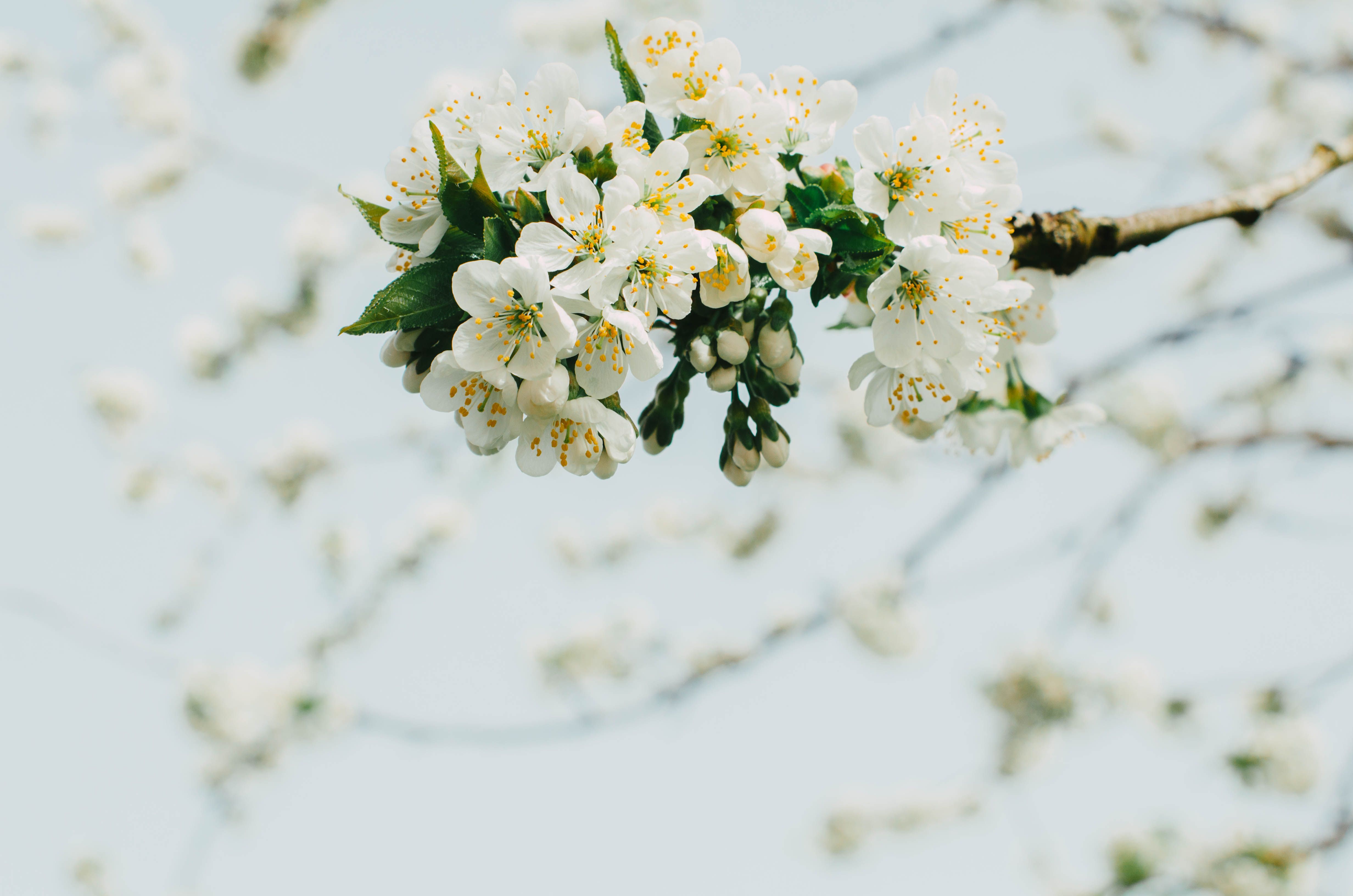 Give your home a spring reset for less than $100 with these DIY home improvement projects — Photo by Nika Benedictova on Pexe