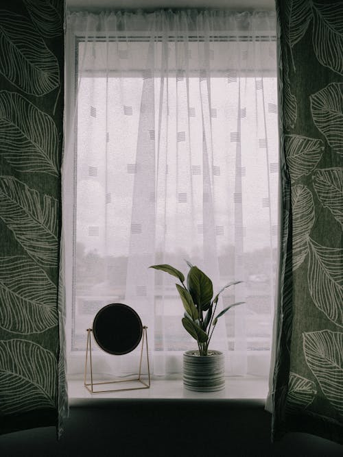 Potted Plant and Mirror on Sill