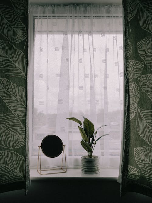 A window with green curtains and a plant