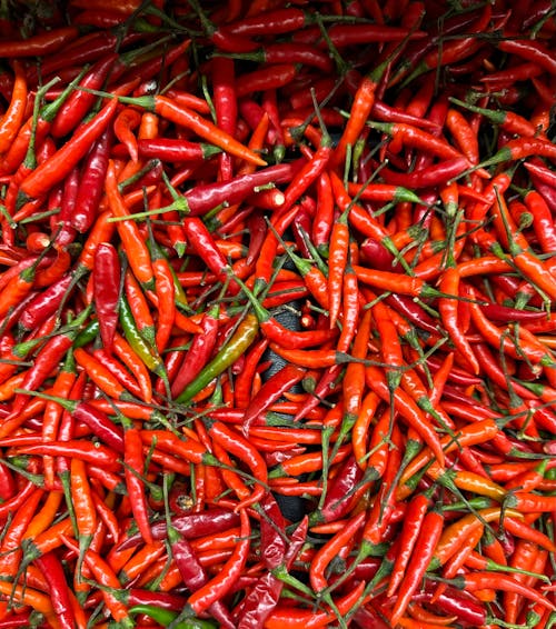 A close up of a pile of red chili peppers