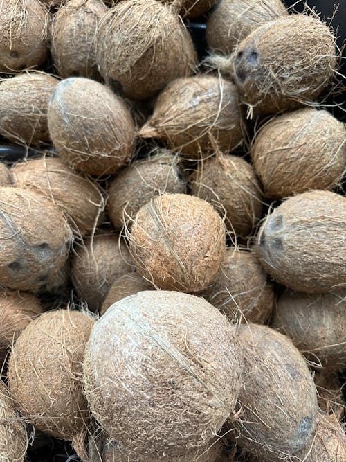A bunch of coconut balls are sitting in a pile
