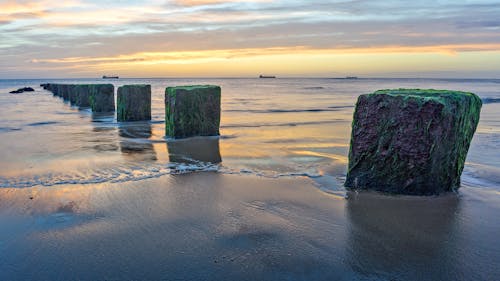 คลังภาพถ่ายฟรี ของ groyne, การปกป้อง, ขอบฟ้า