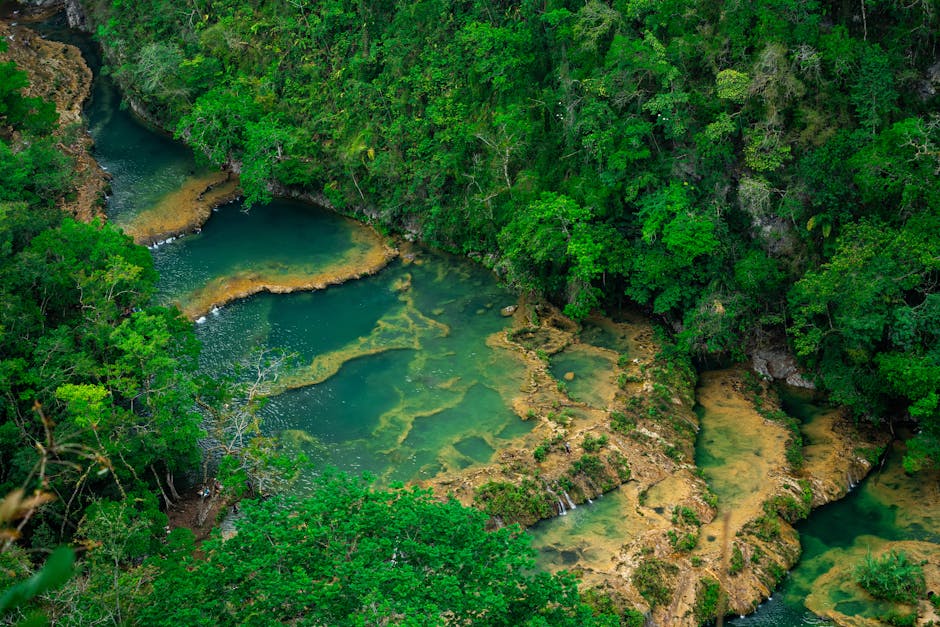 Exotic Scents That Transport You to Faraway Lands