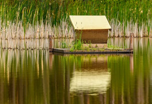 A small house on a small island in a lake
