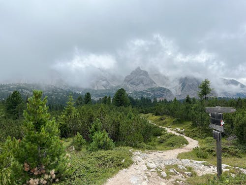 A trail in the mountains with clouds and trees