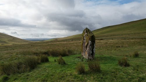 The Stone