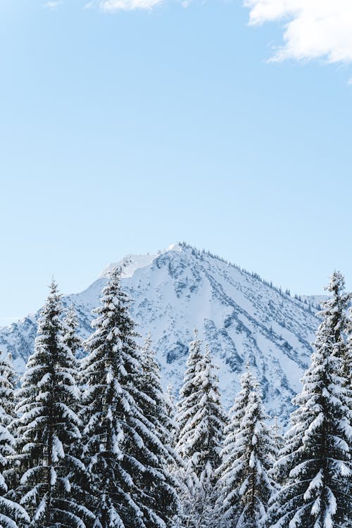 Gratis stockfoto met berg, besneeuwd, blauwe lucht