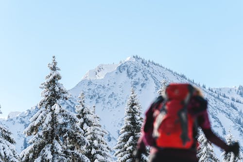 Back View of a Person with a Backpack Hiking in Snowy Mountains 