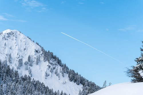 açık hava, ağaçlar, dağ içeren Ücretsiz stok fotoğraf