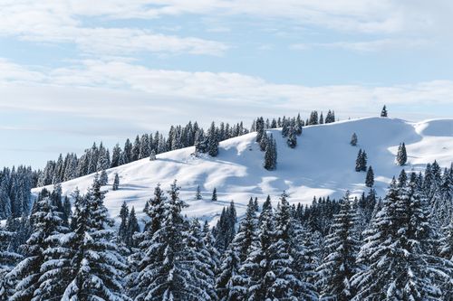 Free Breathtaking snowy landscape of Tegernsee with sunlit coniferous trees under a clear winter sky. Stock Photo