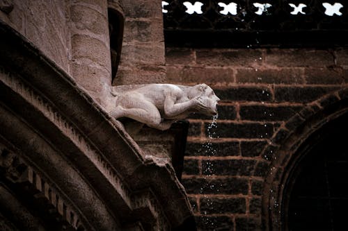 A statue of a cat on a building with a clock