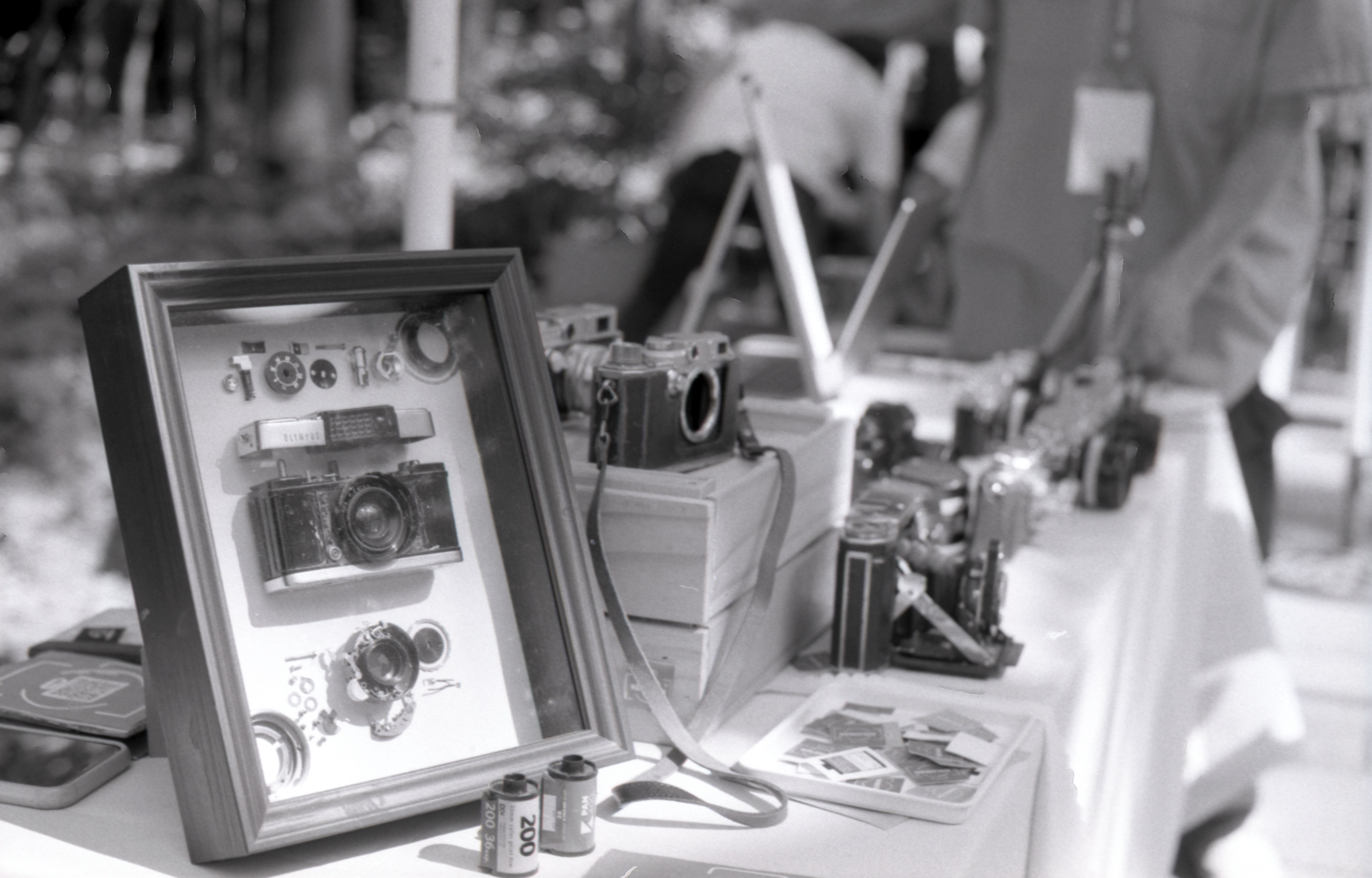Unleash the Future: Why Your 2026 Camera MUST Be AI-Powered (Or Get Left Behind!)